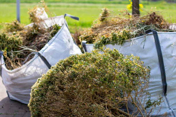 Trusted Marina Del Rey, CA Junk Removal Experts